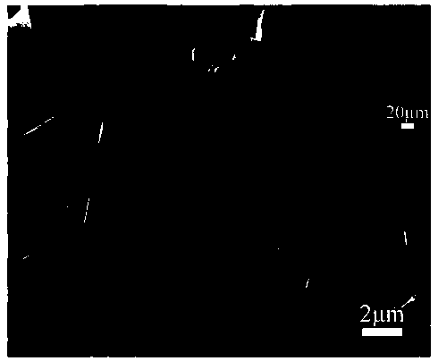 Self-collecting supercapacitor electrode material and preparing method thereof