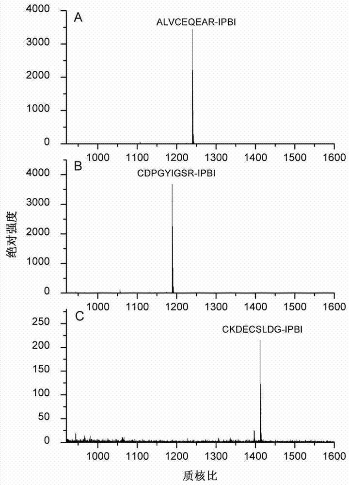 Alkylation derivatization reagent and application of alkylation derivatization reagent in peptide fragment marking and mass spectrometric detection