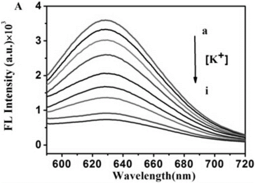 Method of using silver nanocluster to detect potassium ion concentration in vitreous fluid to deduce death time