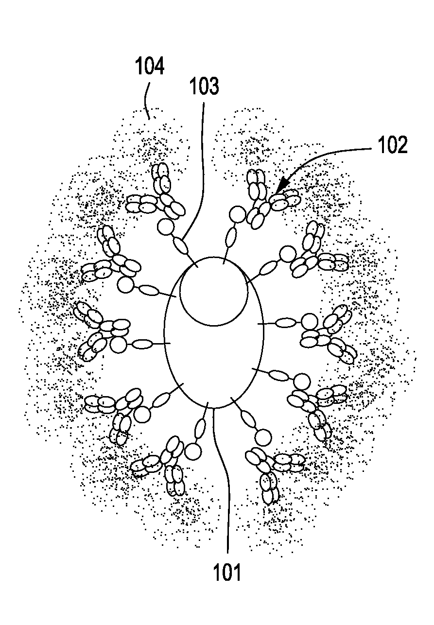 Enhanced production of immunoglobulins