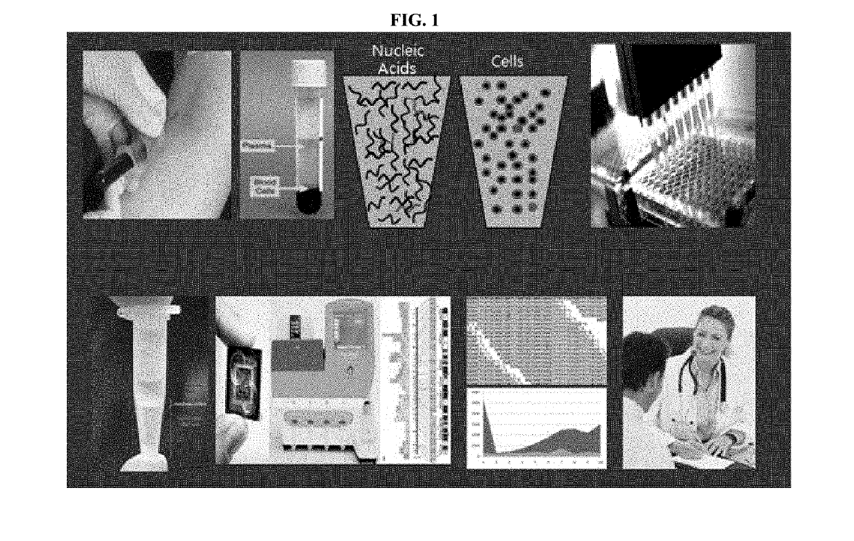 Method for predicting organ transplant rejection using next-generation sequencing