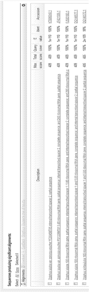 DNA barcode identification method of medical and edible material spina date seed and its fake product