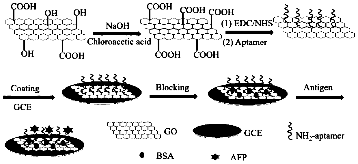 A preparation method of graphene oxide/alpha-fetoprotein aptamer electrochemical sensor