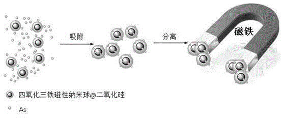 Fe3O4@SiO2 magnetic nanospheres as well as preparation method and application thereof