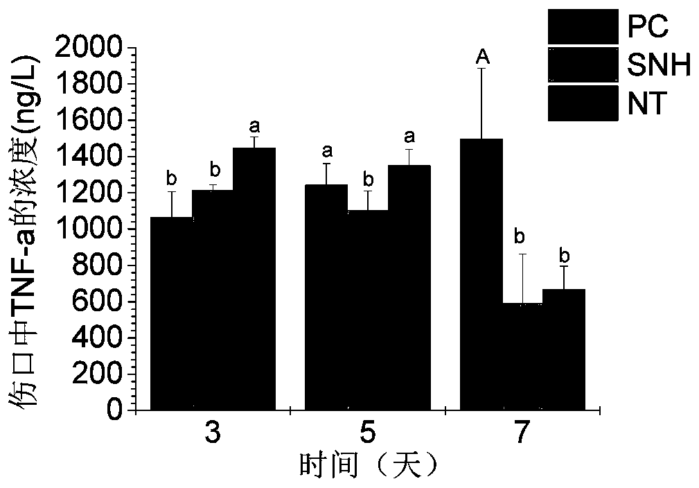 Preparation method and application of sipunculus nudus zymolytic protein peptide powder having effect of promoting trauma healing