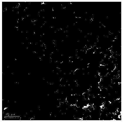 Method for improving electrochemical performance of lithium battery positive electrode coating material