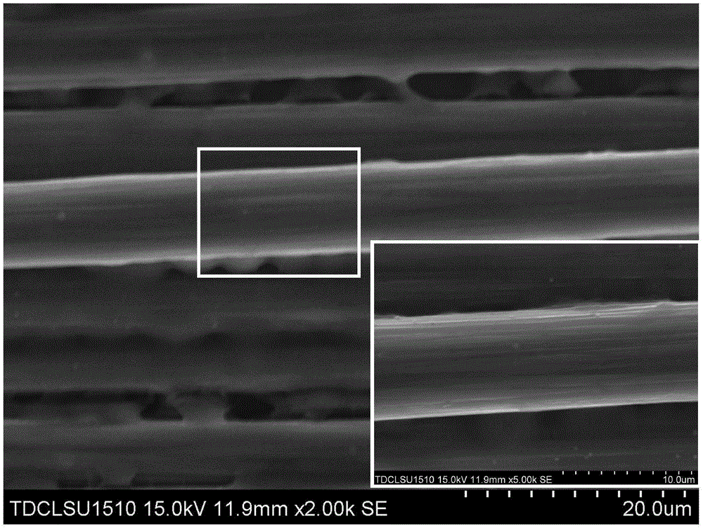 Method for preparing PVDF modified three-dimensional braided carbon fiber structural damping composite material