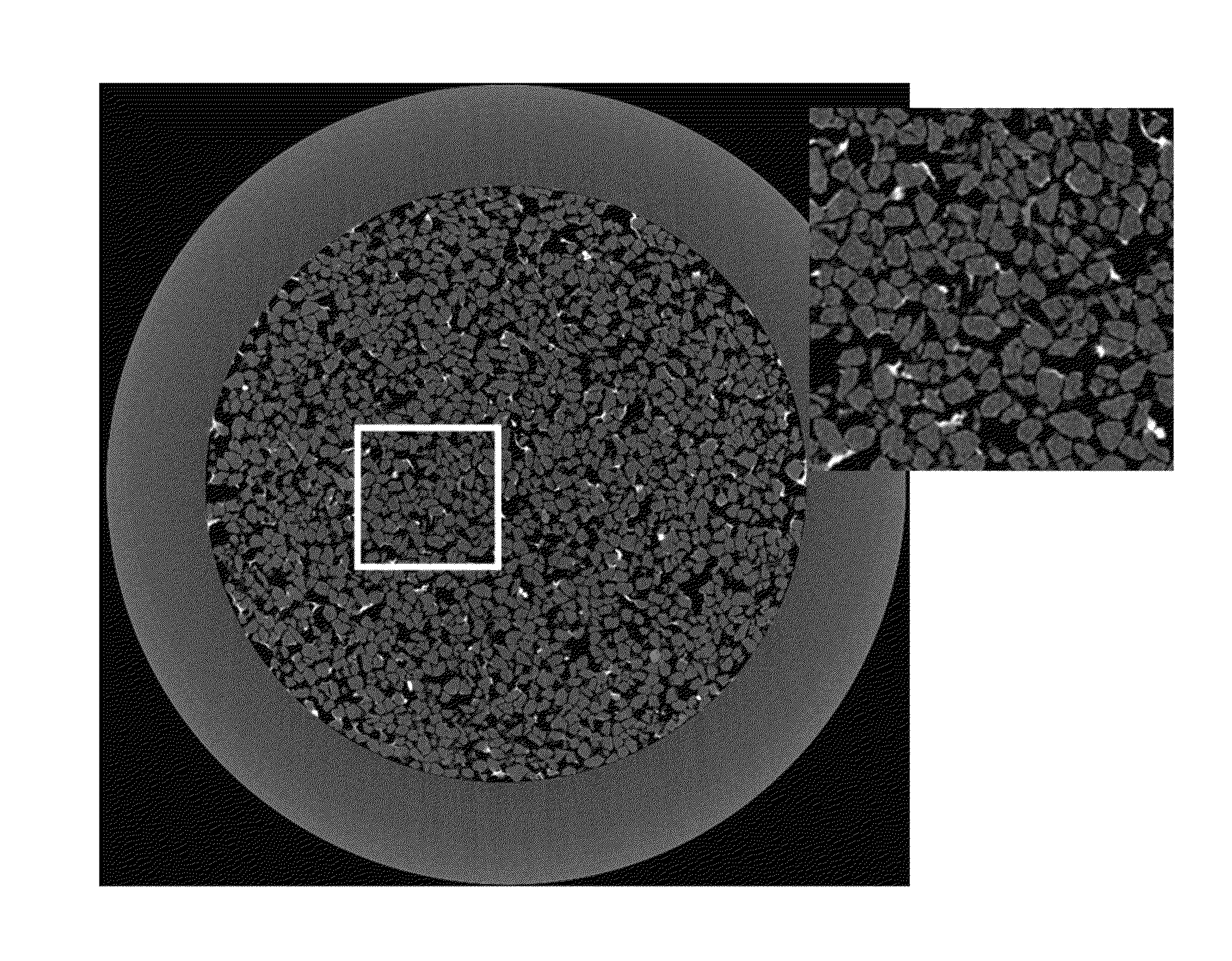 Method for determining spatial distribution and concentration of clay in a core sample