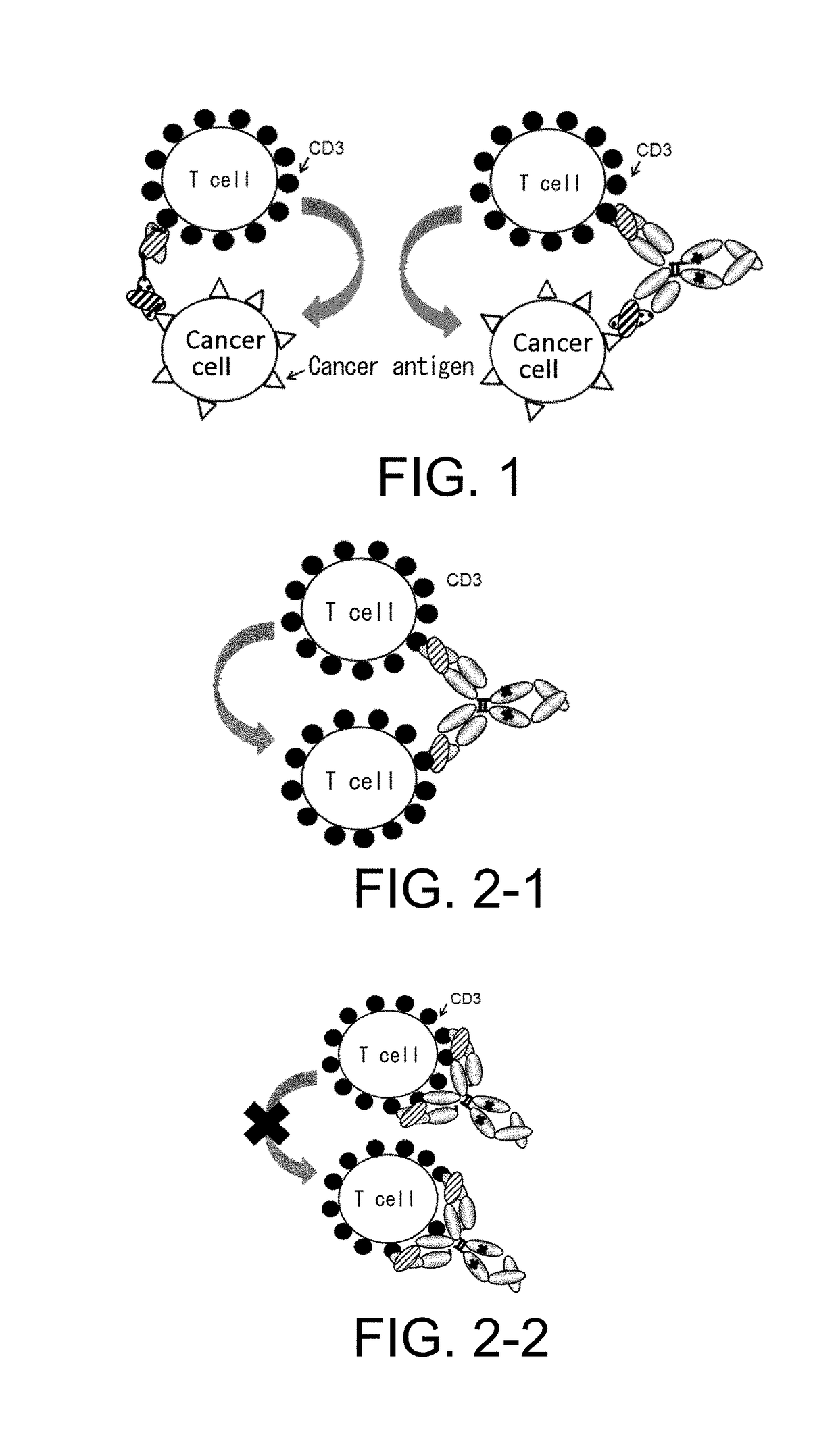 Method for enhancing humoral immune response