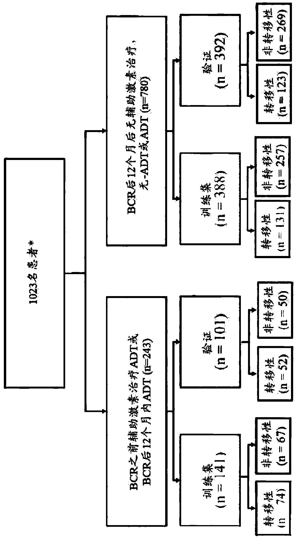 Use of a genetic signature diagnostically to evaluate treatment strategies for prostate cancer