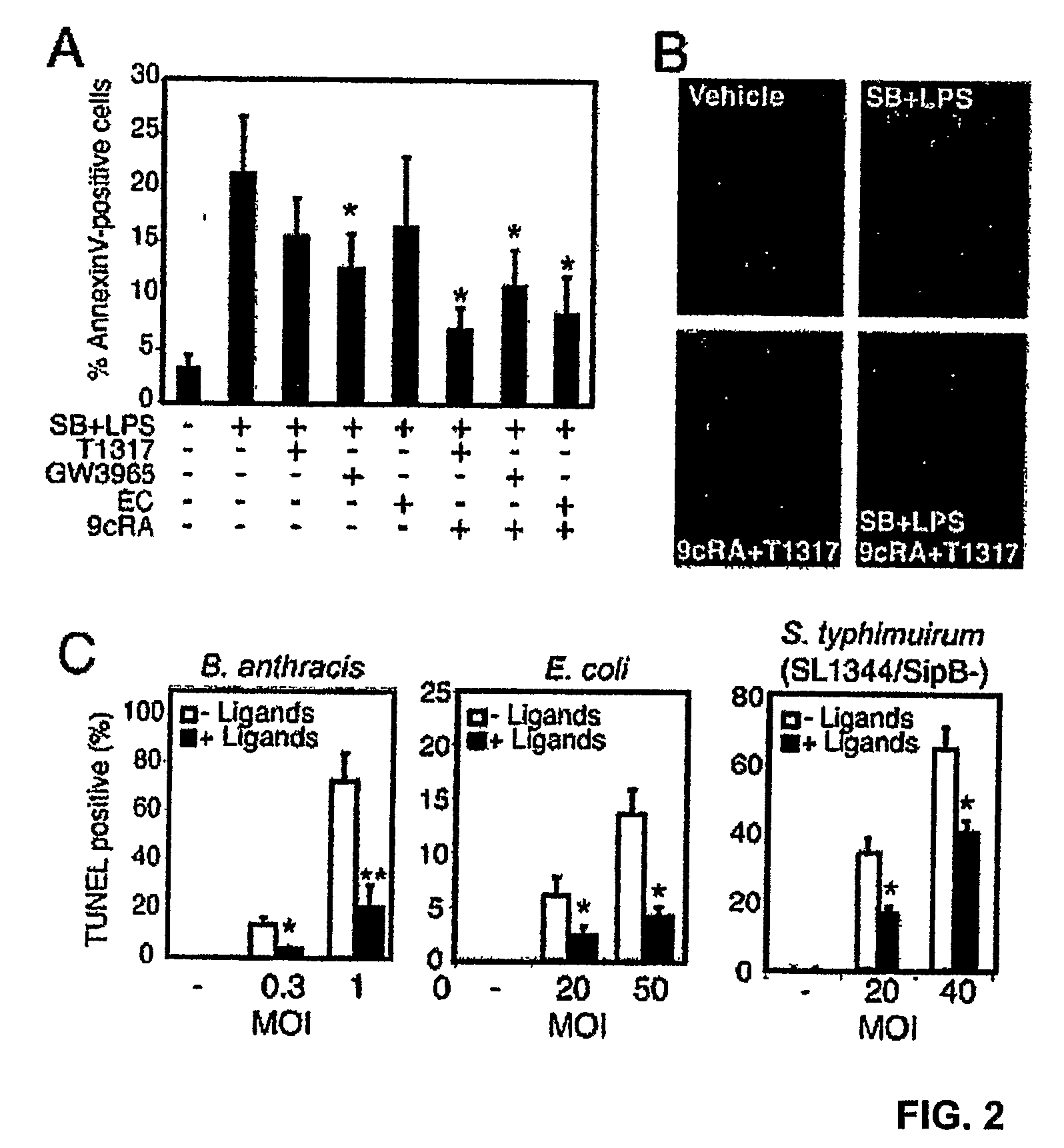 Compounds that Prevent Macrophage Apoptosis and Uses Thereof