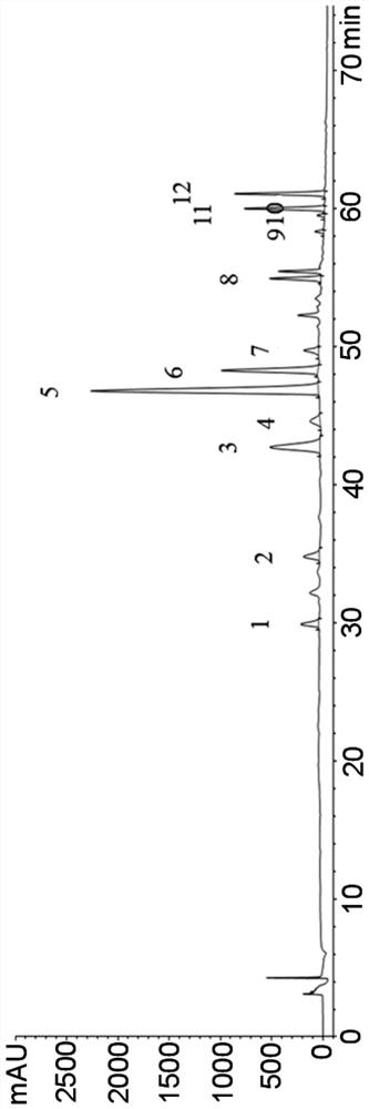 Corydalis control extract and its preparation method and application