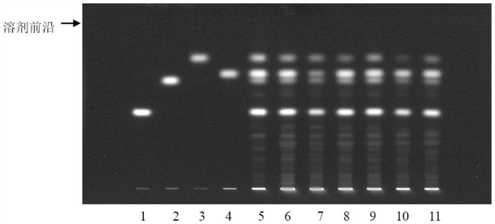 Corydalis control extract and its preparation method and application