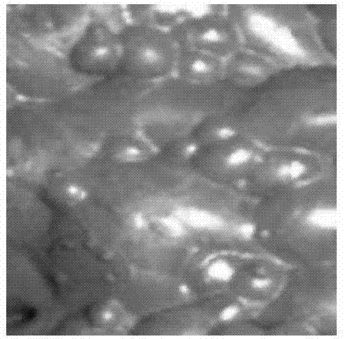 Space-time united image sequence multi-scale geometric transformation denoising method