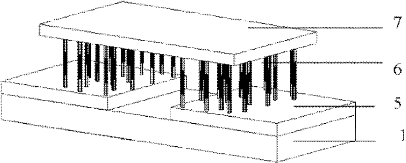 Multichannel carbon nanotube sensor and preparation method thereof