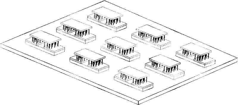 Multichannel carbon nanotube sensor and preparation method thereof