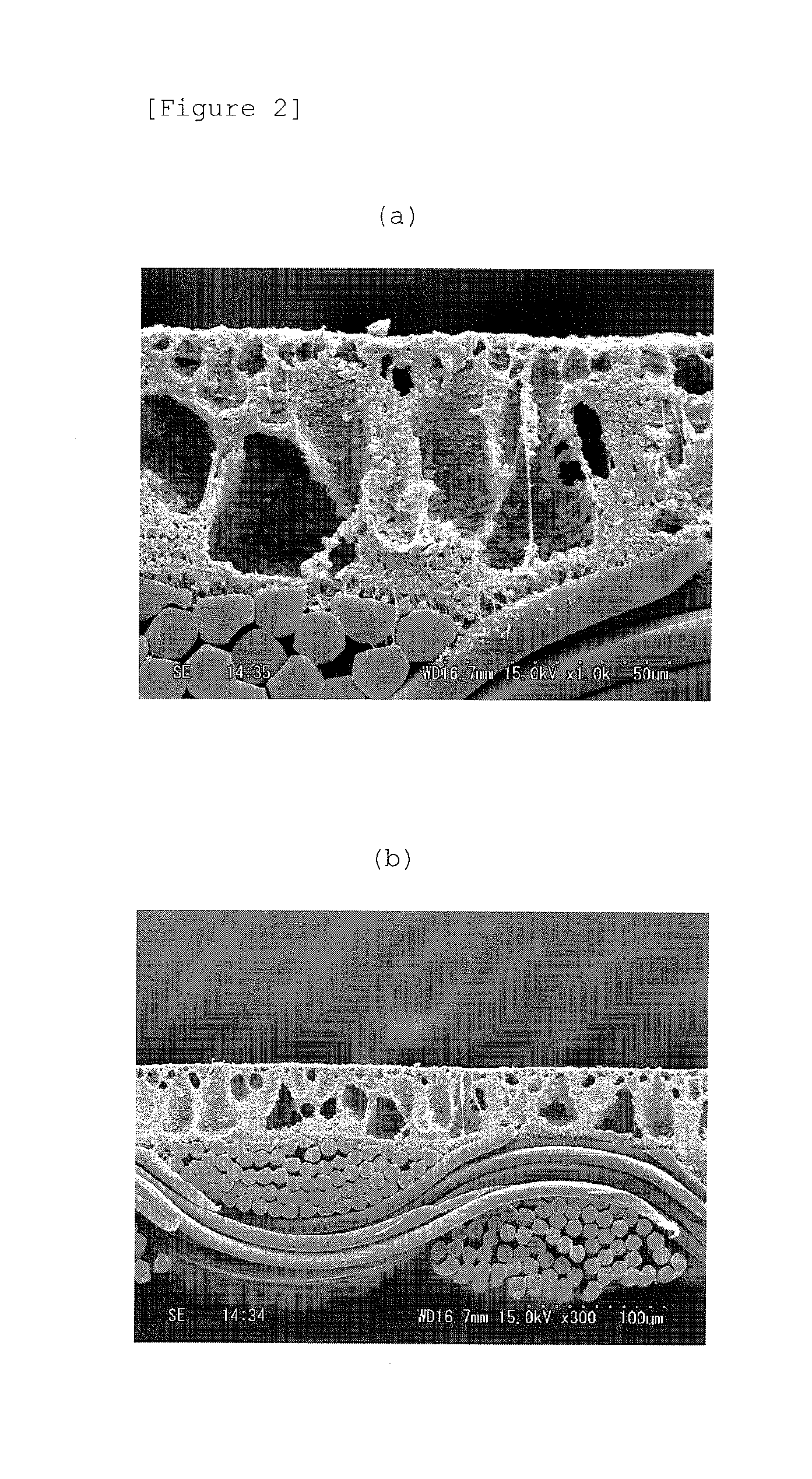 Moisture-permeable waterproof fabric and process for producing same