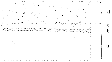 Biological medical degradable material and preparation method thereof