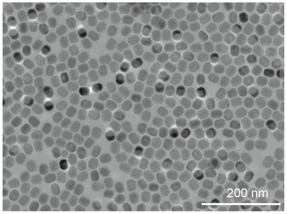 A temperature measurement method based on rare earth luminescence lifetime temperature probe