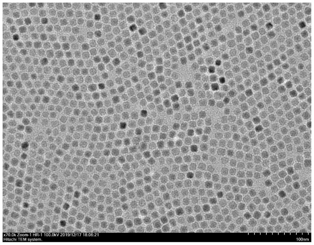 A temperature measurement method based on rare earth luminescence lifetime temperature probe