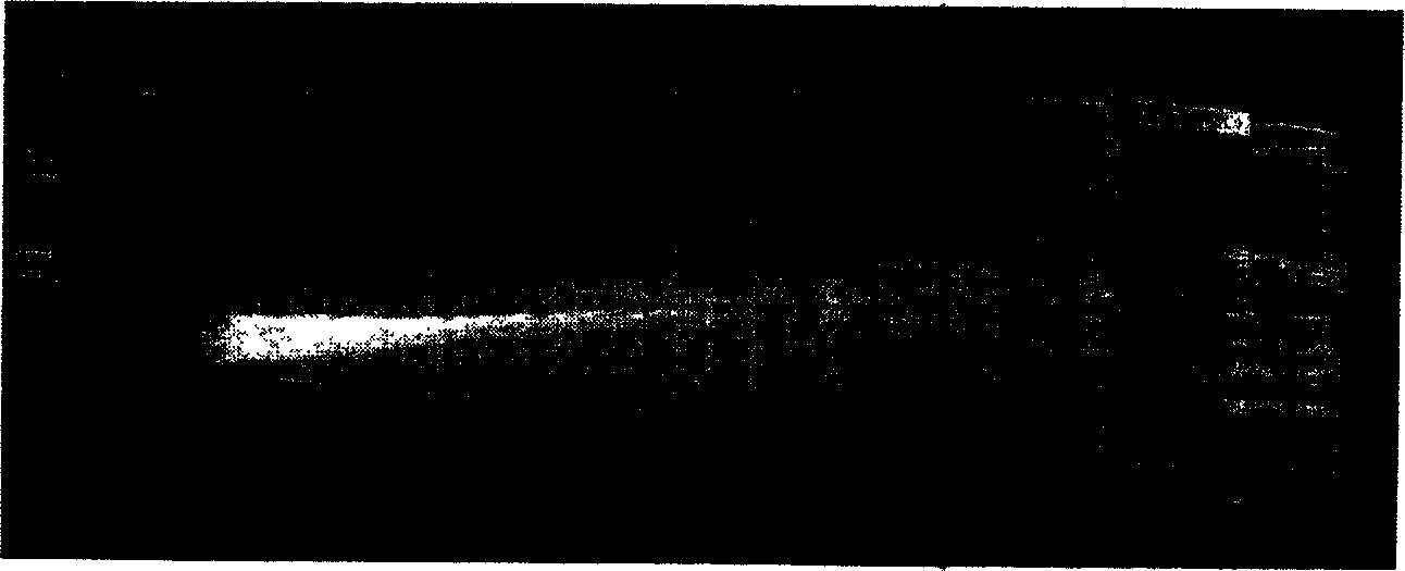 Crystalloid laminae composited from single crystal and directional column crystal and preparing method