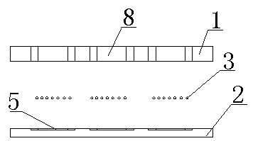 Fiber neat paste test piece forming method for scanning microscope