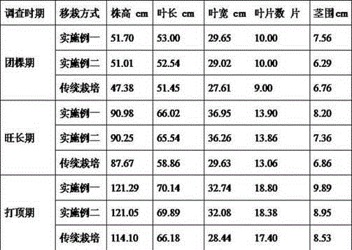 Tobacco cultivation method