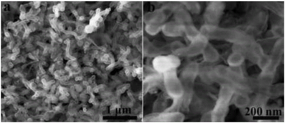 Multilayer-shell wormlike mesoporous silica and preparation method thereof