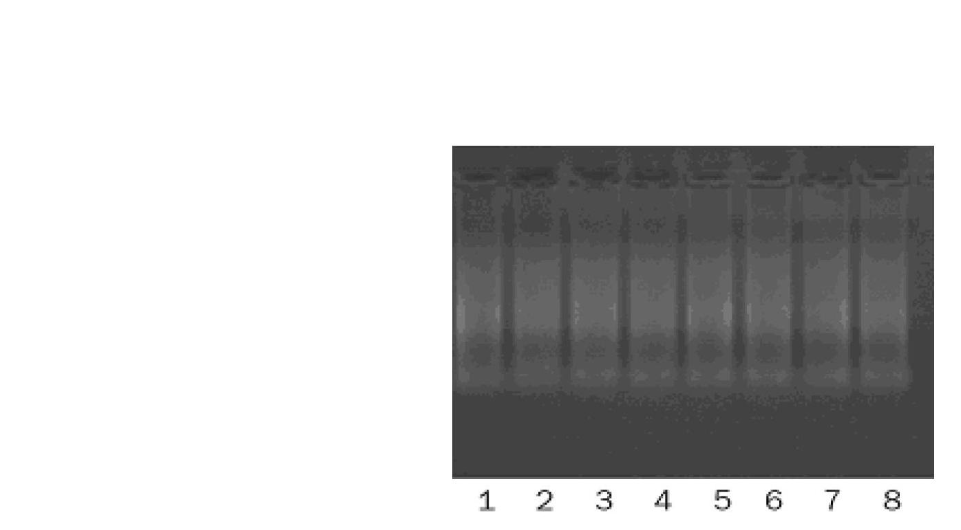 Novel method and kit for extracting high-quality RNA (Ribose Nucleic Acid) from paraffin-embedded tissue