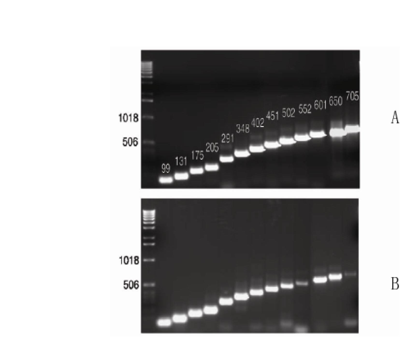 Novel method and kit for extracting high-quality RNA (Ribose Nucleic Acid) from paraffin-embedded tissue