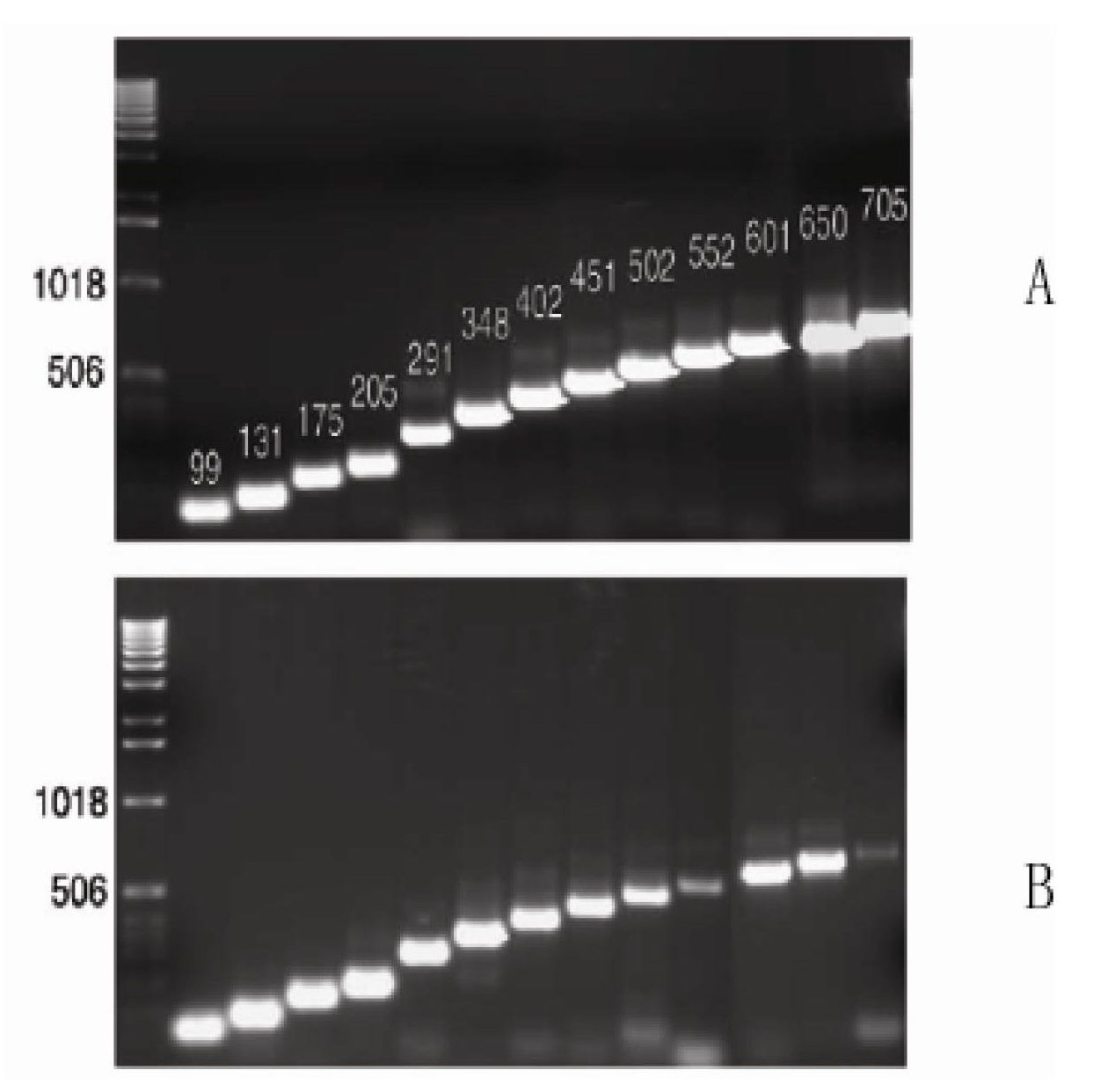 Novel method and kit for extracting high-quality RNA (Ribose Nucleic Acid) from paraffin-embedded tissue