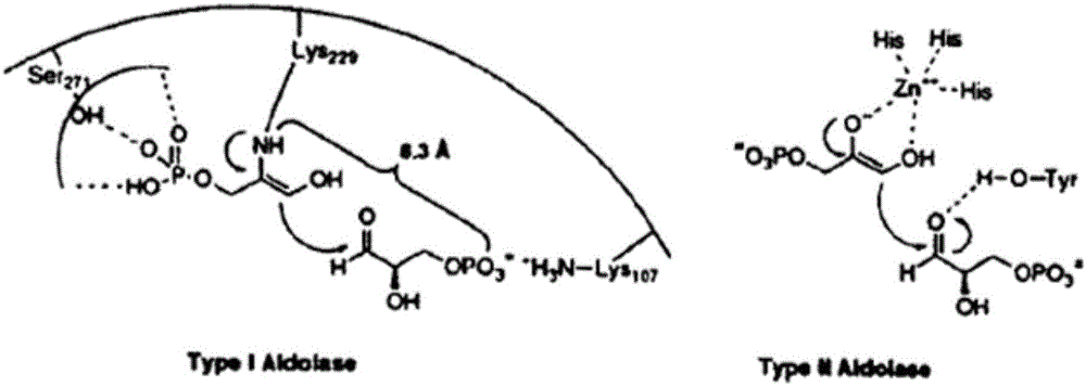 Novel thiazole derivatives, and preparation method and application thereof