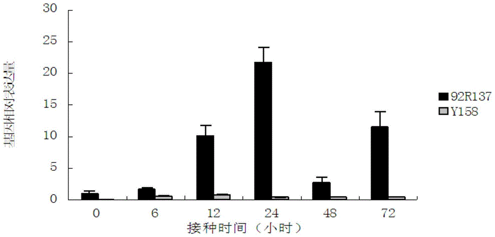 Gene TaFBK1 with F-box structure field, and expression vector and application thereof