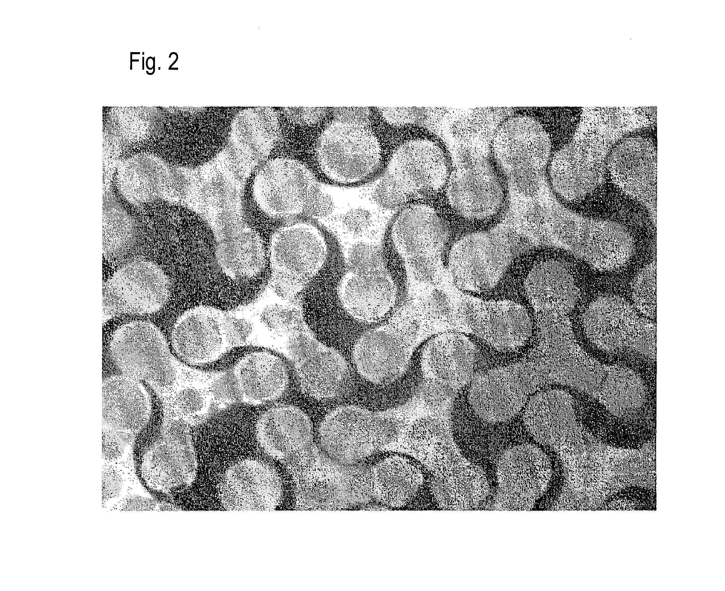 Modified cross-section fiber