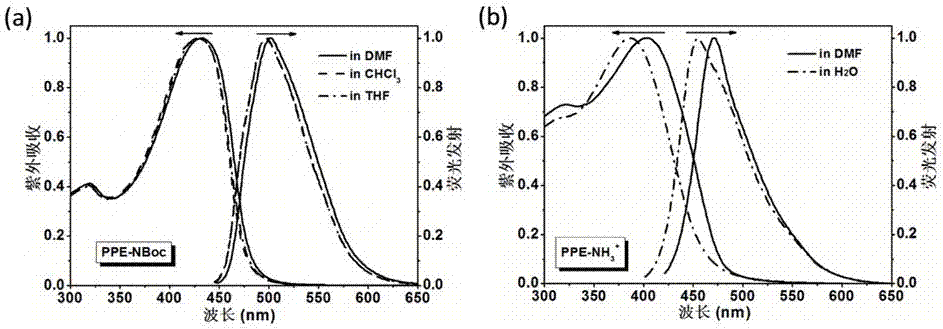 Fluorescent conjugated polymer with side chain amidogen being protonized, preparing method, and application of fluorescent conjugated polymer