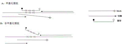 Gene methylation detection method