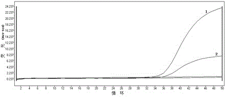 Gene methylation detection method