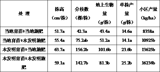 High-quality seedling-raising and fertilizing method for medical chrysanthemum