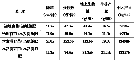 High-quality seedling-raising and fertilizing method for medical chrysanthemum