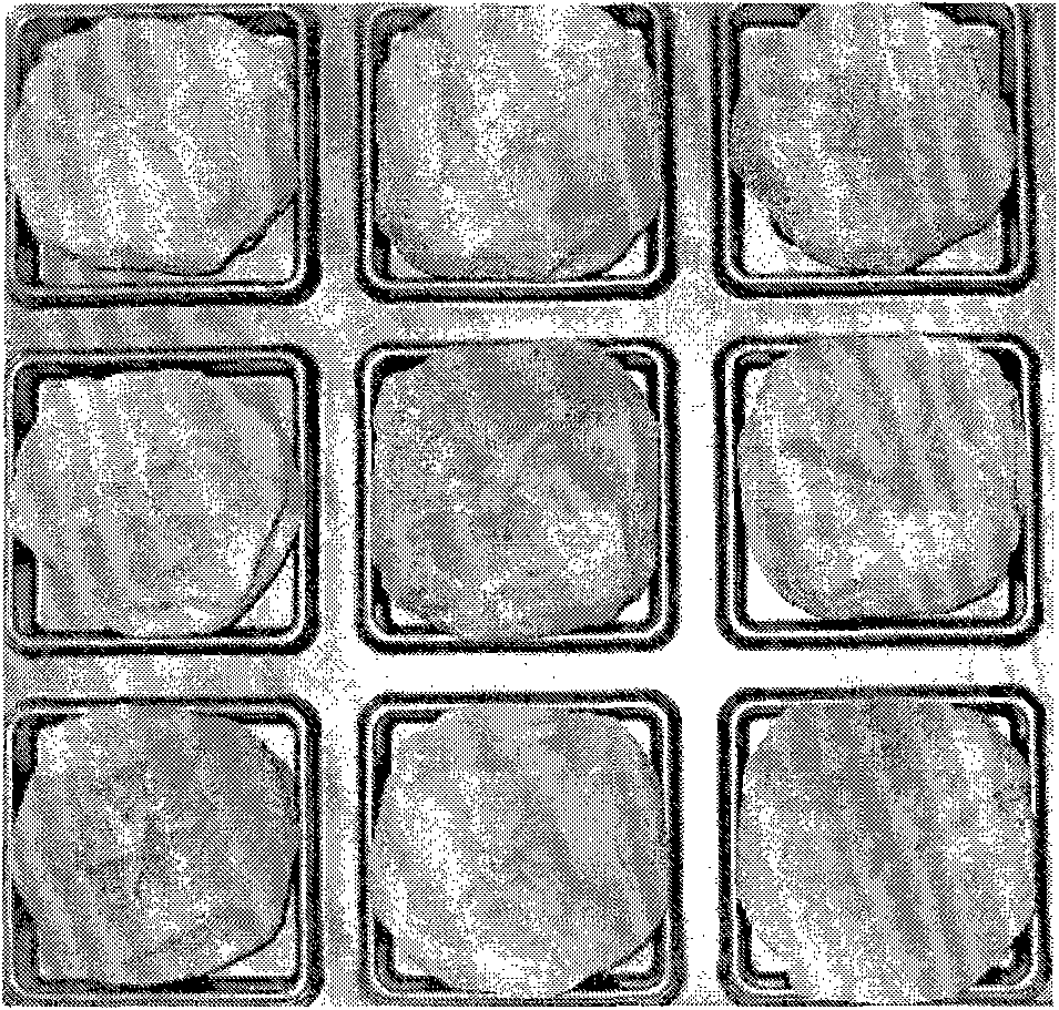 Method for processing persimmons