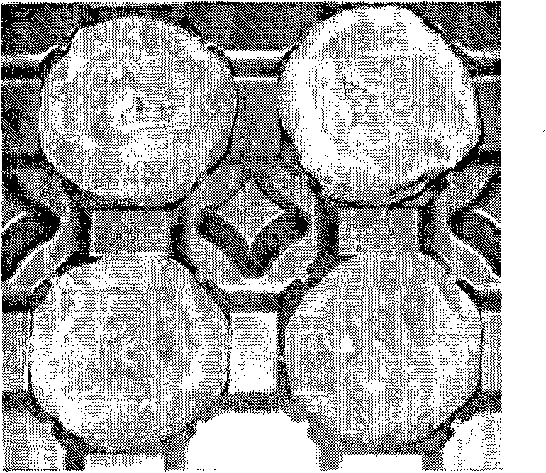 Method for processing persimmons