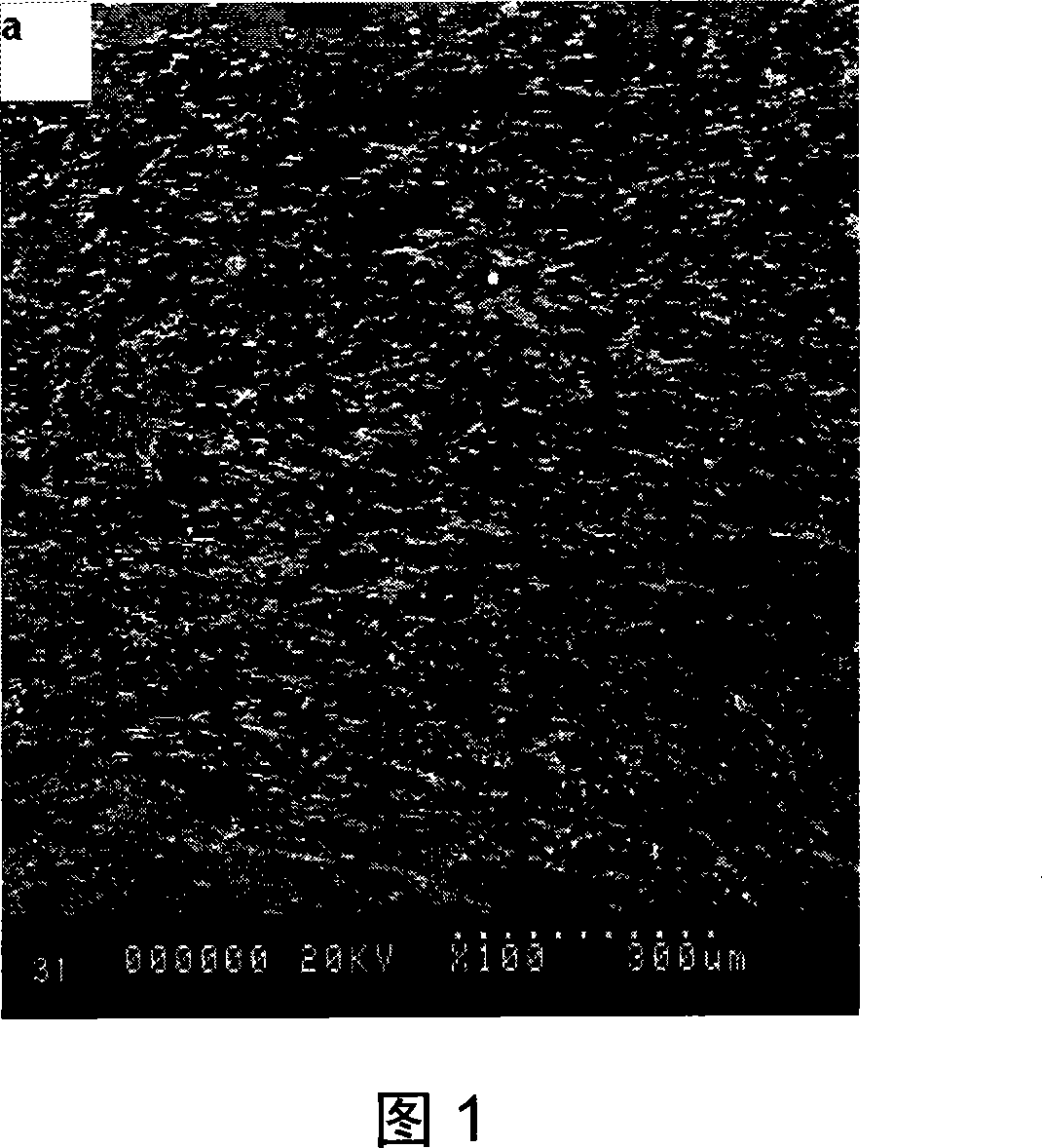 Method of preparing thin crystal composite layer on magnesium alloy surface