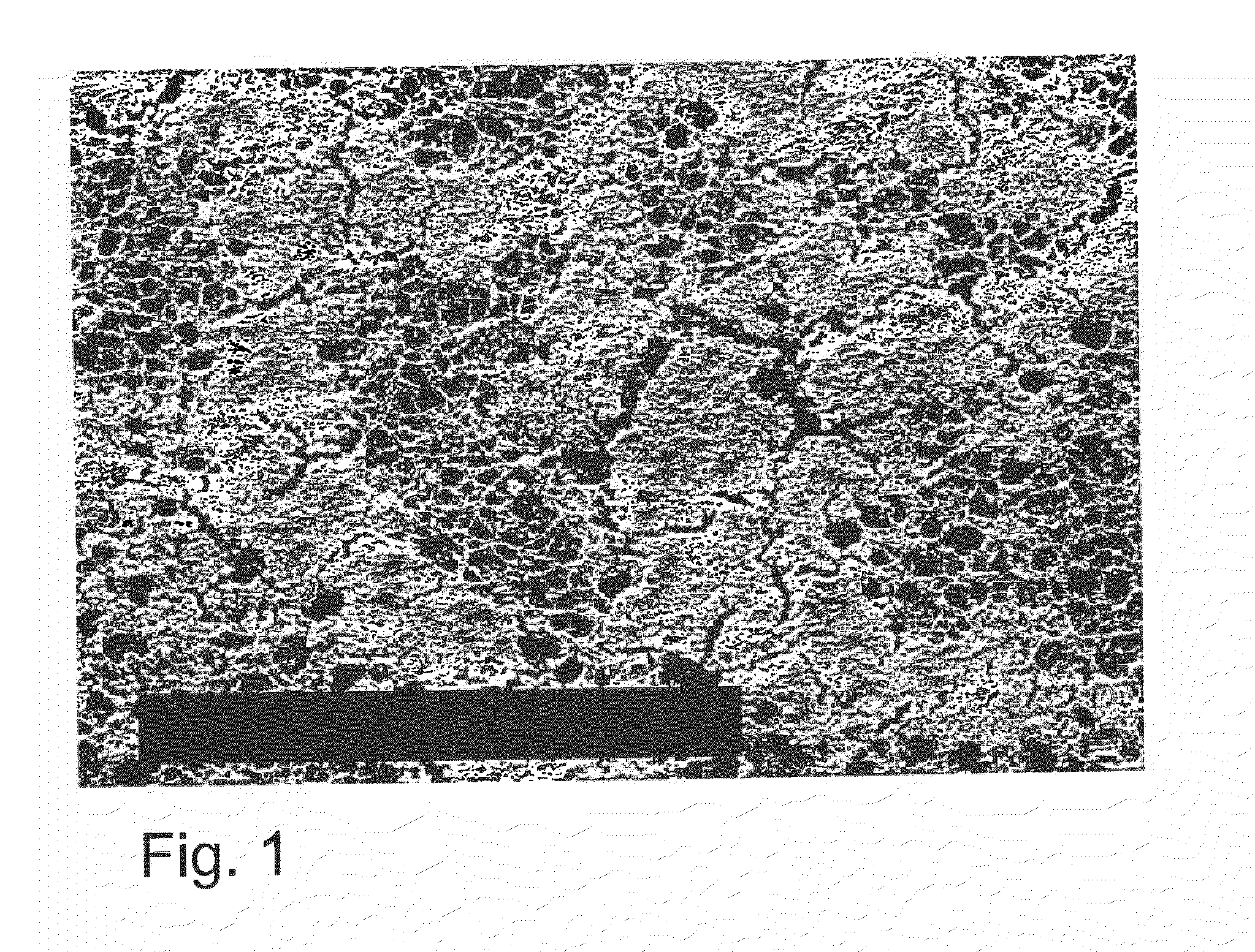 Process for Producing Surface Enhanced Membrane