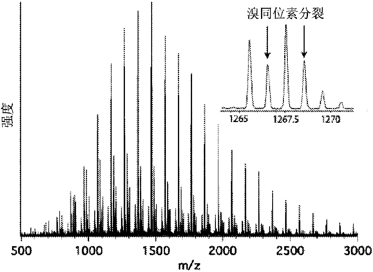 Using organic photoredox catalysts to achieve metal free photoregulated controlled radical polymerization