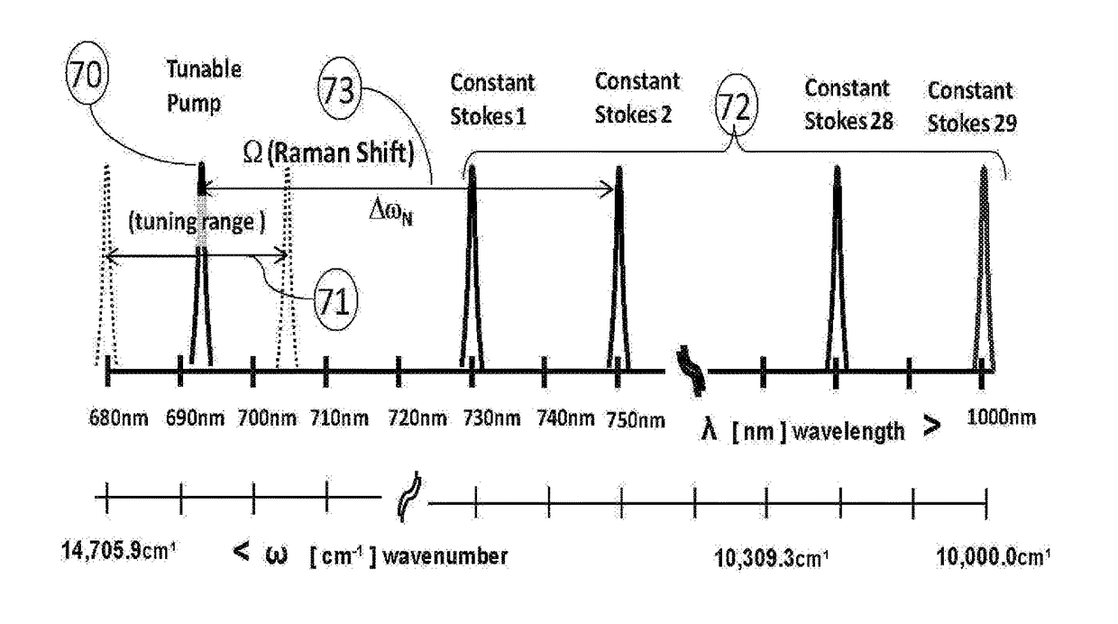 System for a stimulated raman scattering (SRS) spectrophotometer and a method of use thereof