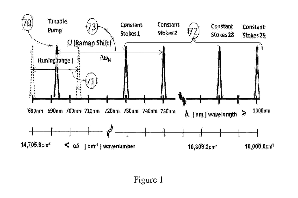 System for a stimulated raman scattering (SRS) spectrophotometer and a method of use thereof