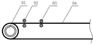 Demagnetizing method and device for steel wire lining conveyer belt by double magnetic rollers