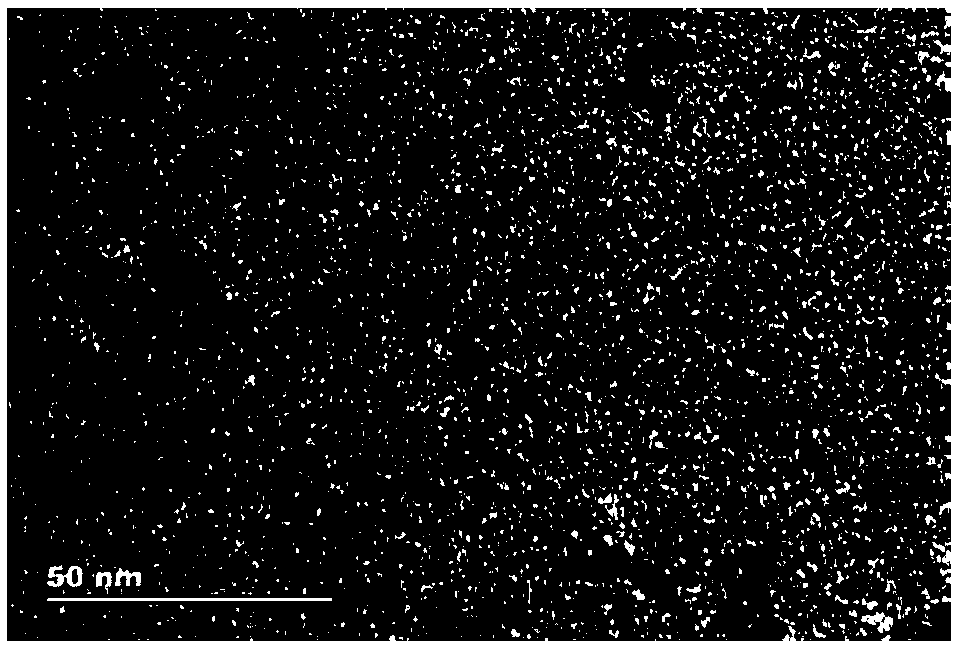 Platinum nano-particles and preparation method thereof