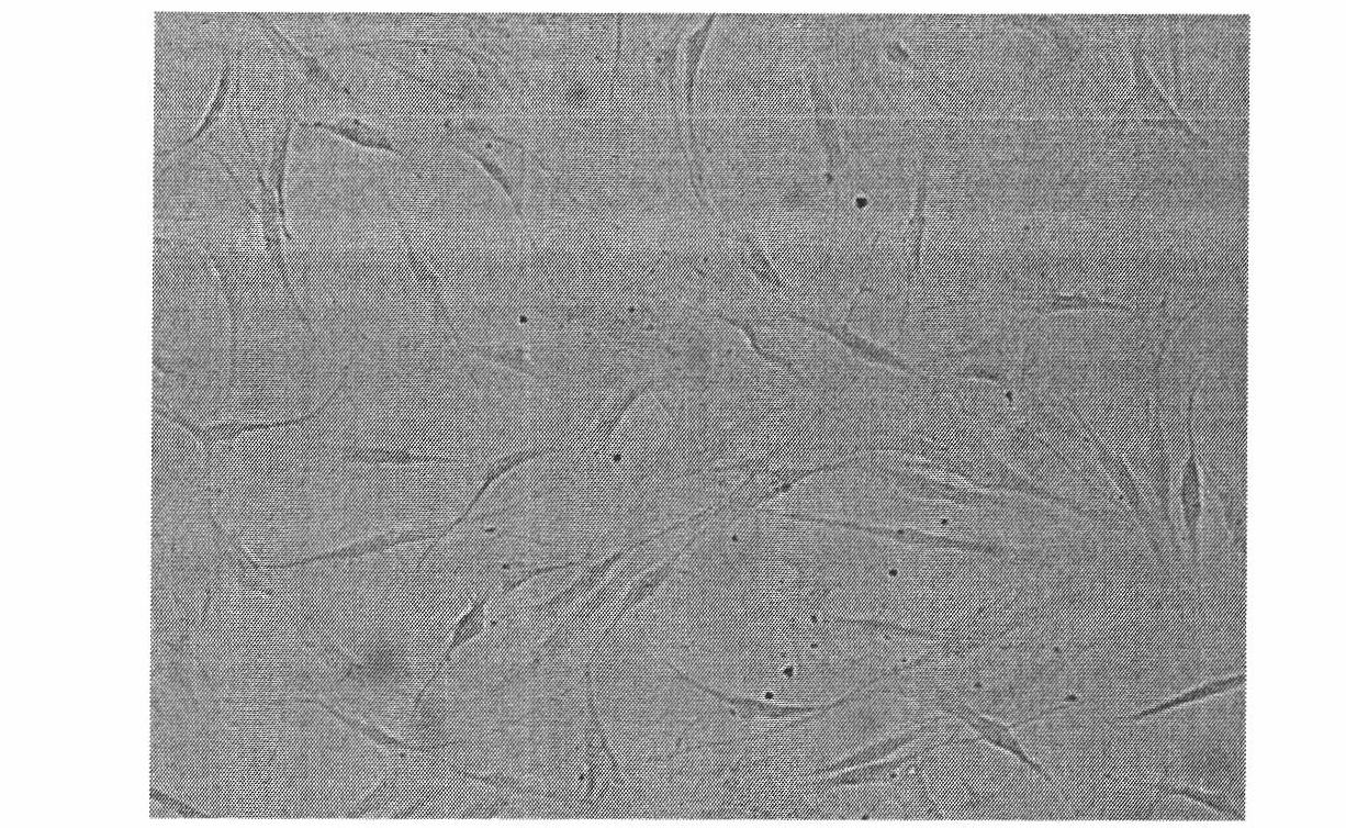 Method for separating cells from different tissues