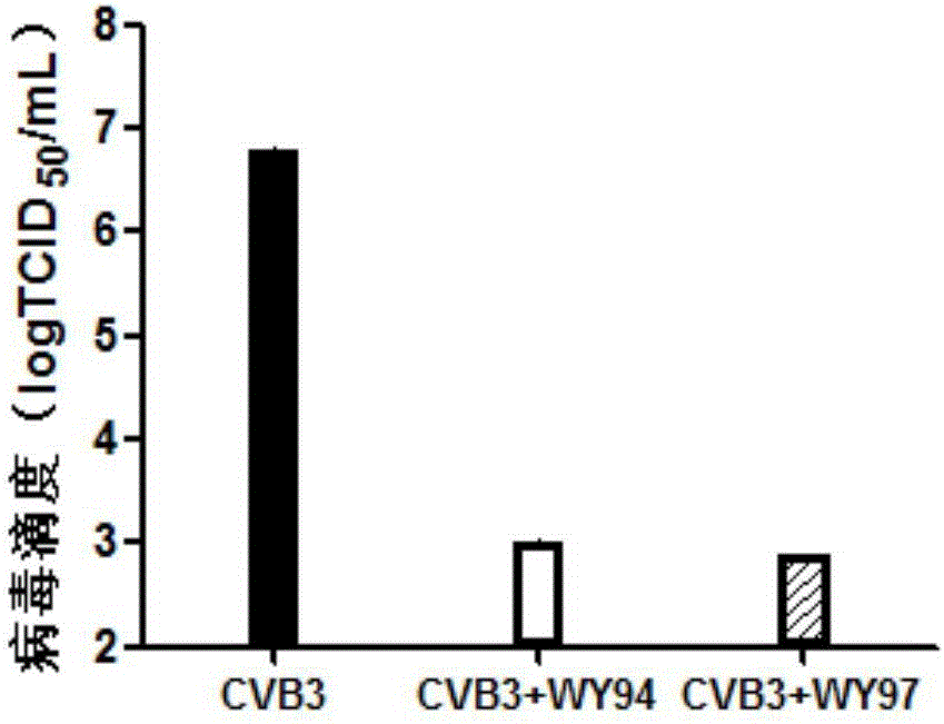 Use of pyridoheterocyclic ester compounds in manufacture of anti coxsackievirus B3 drugs